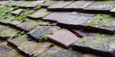 Eversholt roof repair costs